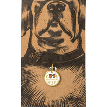 Load image into Gallery viewer, NEW Collar Charm - Cool And I Just Can't Help It - 100364