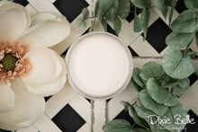 Load image into Gallery viewer, Dixie Belle Drop Cloth Chalk Mineral Paint