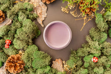 Load image into Gallery viewer, Dixie Belle Secret Path Chalk Mineral Paint