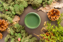 Load image into Gallery viewer, Dixie Belle English Ivy Chalk Mineral Paint