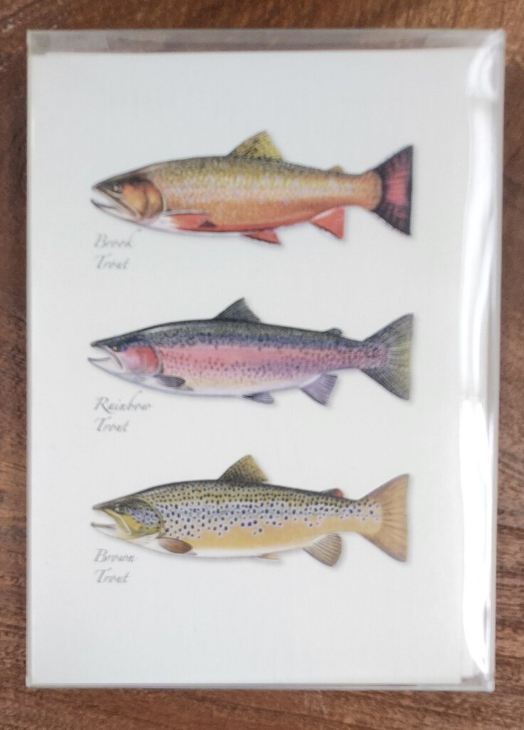 Freshwater Gamefish Notecards - NEW