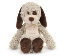 Load image into Gallery viewer, NEW Gift from the New Kid: Big Sister 5004700734