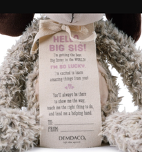 Load image into Gallery viewer, NEW Gift from the New Kid: Big Sister 5004700734