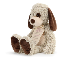 Load image into Gallery viewer, NEW Gift from the New Kid: Big Sister 5004700734