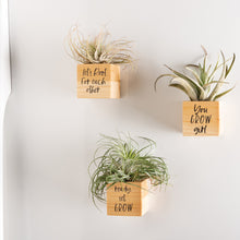 Load image into Gallery viewer, NEW You Grow Planter Magnet Set - 112403