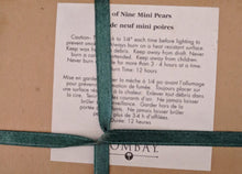 Load image into Gallery viewer, BOX SET - Nine (9) Mini Pear Candles Bombay Co.

