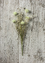 Load image into Gallery viewer, NEW Pick - Thistle Mix White - 102498

