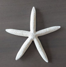 Load image into Gallery viewer, Finger Starfish
