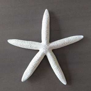 Finger Starfish