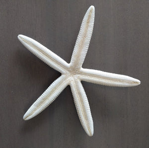 Finger Starfish