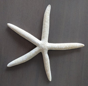 Finger Starfish