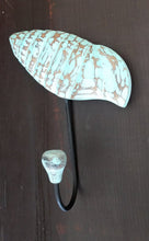 Load image into Gallery viewer, NEW 9" Aqua Wood Spiral Shell Wall Hook MDA-SC-53A-A
