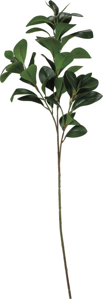 NEW Pick - Magnolia Small Leaves - 102361