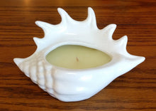 Load image into Gallery viewer, NEW Zodax Luxury Ceramic Shell Scented Candle- Spider Conch
