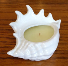 Load image into Gallery viewer, NEW Zodax Luxury Ceramic Shell Scented Candle- Spider Conch

