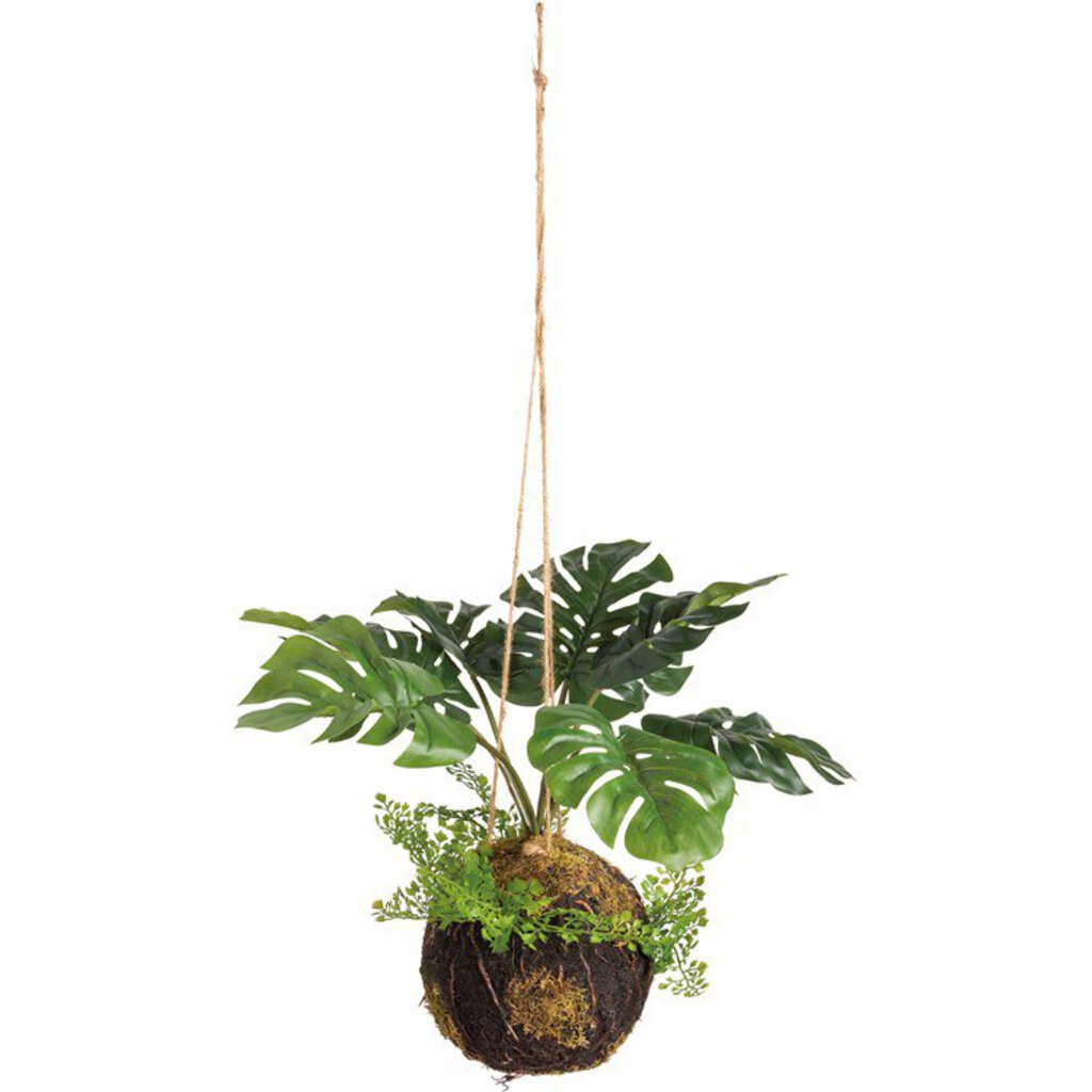 NEW Kokedama - Med Monstera - 107592