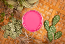 Load image into Gallery viewer, Silk All-in-One Mineral Paint - Prickly Pear
