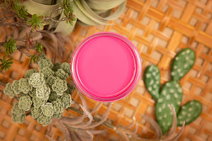 Silk All-in-One Mineral Paint - Prickly Pear