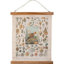 Load image into Gallery viewer, NEW Wall Decor - Mollusques - 112185
