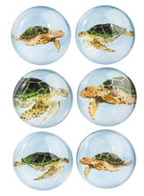 Load image into Gallery viewer, NEW 6-Pc SET Watercolor Sea Turtle Magnets CB178806
