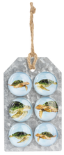 Load image into Gallery viewer, NEW 6-Pc SET Watercolor Sea Turtle Magnets CB178806
