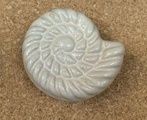 NEW Nautilus Shell Knob - KN116