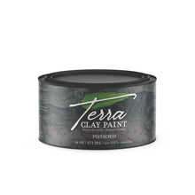 Load image into Gallery viewer, Dixie Belle Terra Clay Paint - Pistachio - 16oz
