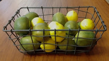 Load image into Gallery viewer, Wire Basket with Faux Lemons &amp; Limes
