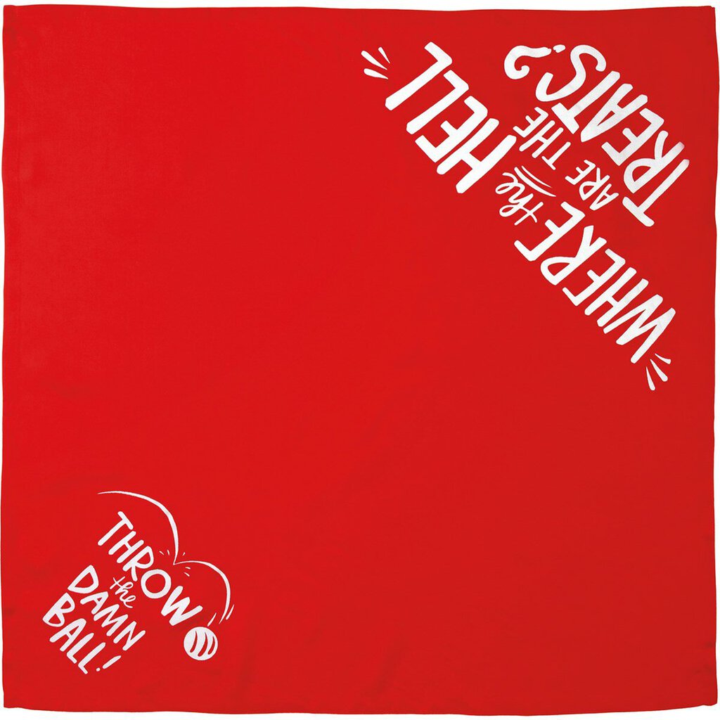 NEW Pet Bandana Lg - Treats/Throw - 110754