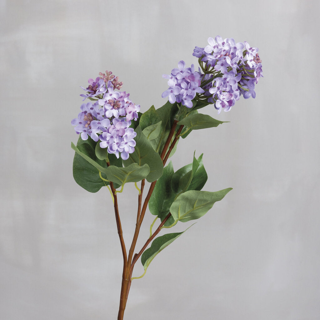 NEW Pick - Lilac - 105594