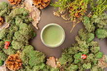 Load image into Gallery viewer, Dixie Belle Weeping Willow Chalk Mineral Paint
