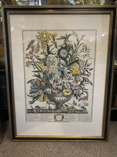 Load image into Gallery viewer, Vtg Framed Robert Furber Gardiner 12 Months of Flowers-SEPT
