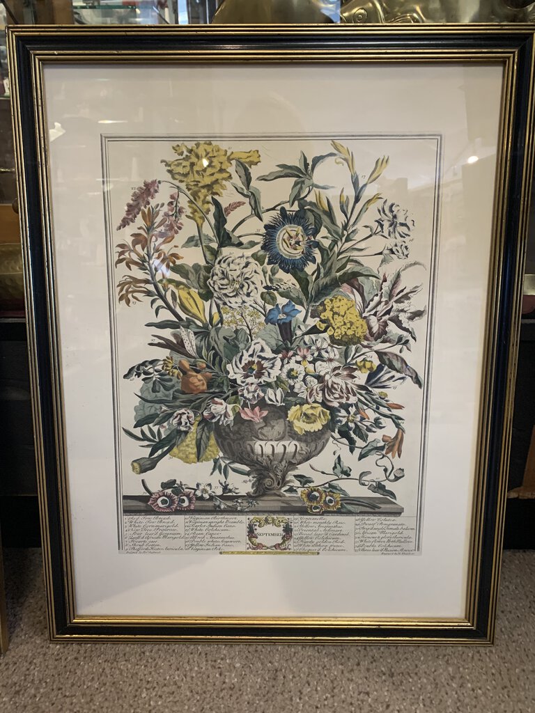 Vtg Framed Robert Furber Gardiner 12 Months of Flowers-SEPT