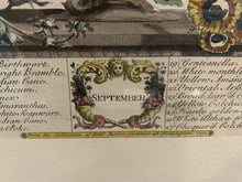 Load image into Gallery viewer, Vtg Framed Robert Furber Gardiner 12 Months of Flowers-SEPT
