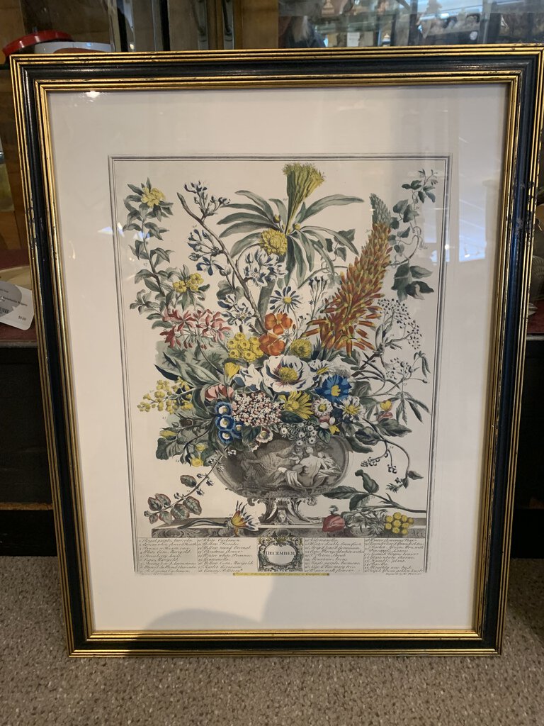 Vintage Framed Robert Furber Gardiner 12 Months of Flowers-DEC