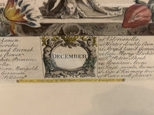Load image into Gallery viewer, Vintage Framed Robert Furber Gardiner 12 Months of Flowers-DEC

