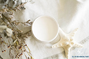 Silk All-in-One Mineral Paint - Salt Water