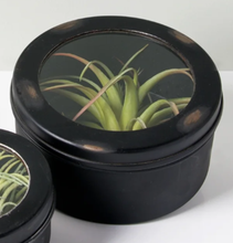 Load image into Gallery viewer, NEW 5.5" Gold Leaf Design Group Round Metal Display Box 8871-5
