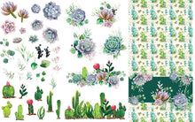 Load image into Gallery viewer, NEW Belles &amp; Whistles Transfer - Cacti &amp; Succulents
