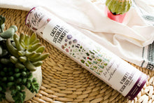 Load image into Gallery viewer, NEW Belles &amp; Whistles Transfer - Cacti &amp; Succulents
