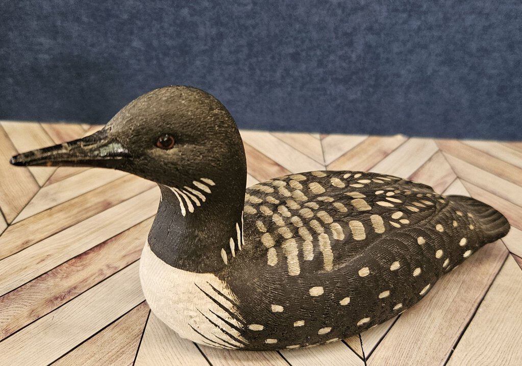 Common Loon, American Wildlife Collection