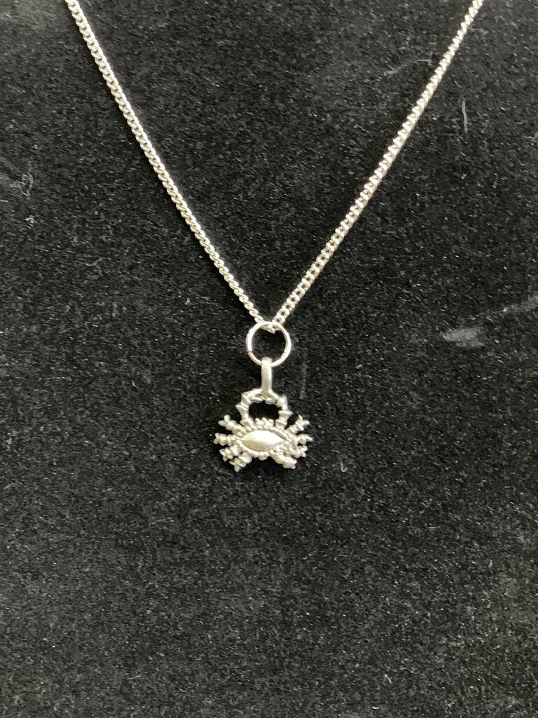 NEW Cancer Zodiac Charm & Chain