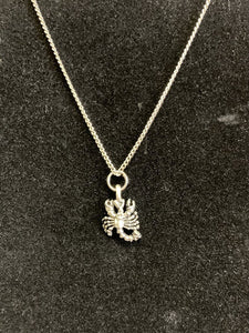 NEW Scorpio Zodiac Charm & Chain