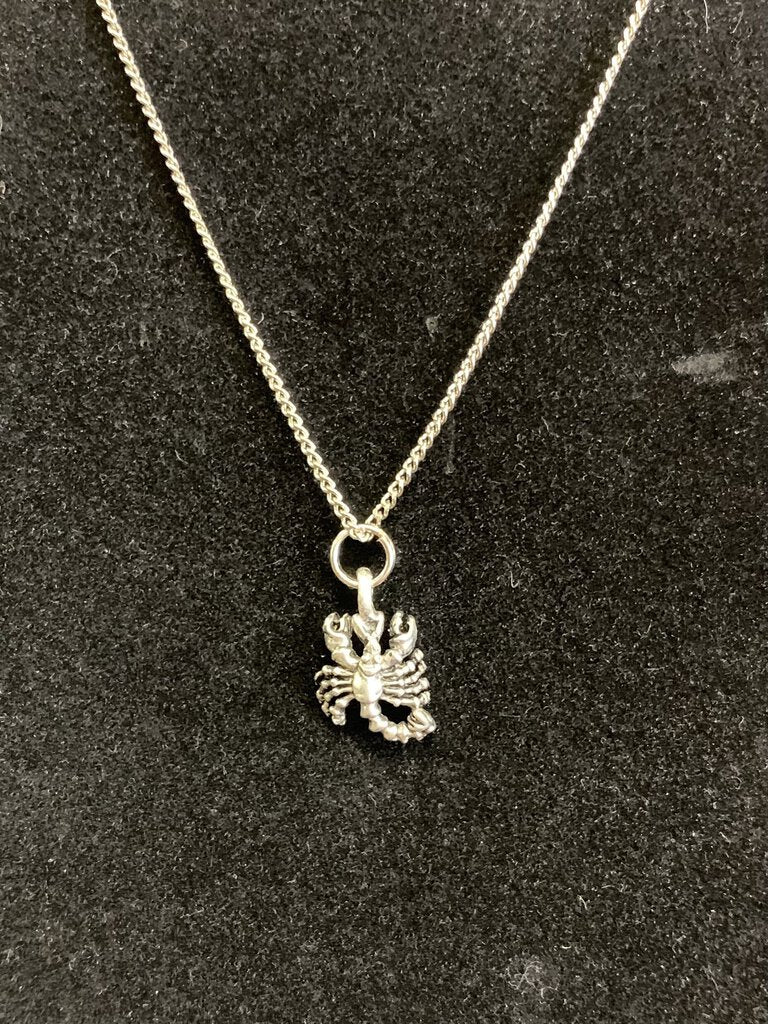 NEW Scorpio Zodiac Charm & Chain