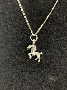 NEW Capricorn Zodiac Charm & Chain