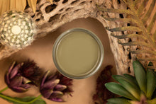 Load image into Gallery viewer, Silk All-in-One Mineral Paint - Cactus
