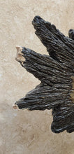 Load image into Gallery viewer, PAIR Distressed Wood Style Resin Fish on Pedestal - As Found
