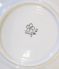 Load image into Gallery viewer, SET 4-Pc Vintage Blue Lustreware Lunch/Salad Plates
