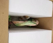 Load image into Gallery viewer, Fitz and Floyd Garden Rhapsody Small Basket (with box)
