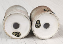 Load image into Gallery viewer, Vintage Nasco Jug Salt &amp; Pepper Shakers
